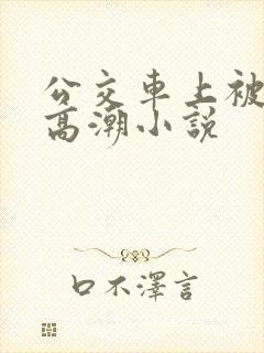 公交车上被插到高潮小说