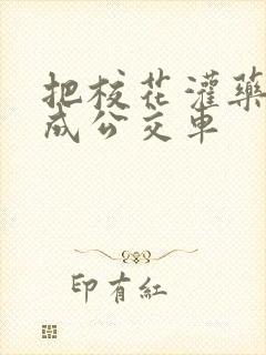把校花灌药调教成公交车