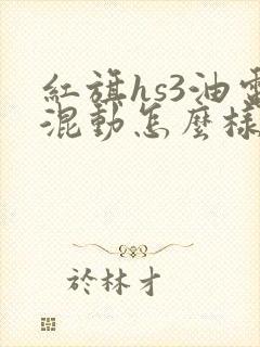 红旗hs3油电混动怎么样值得买吗