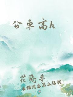公车高h