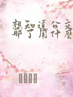 想知道公交车到哪了用什么软件