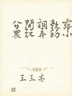 公开调教露出当众玩弄的小说