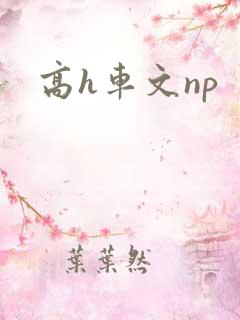 高h车文np