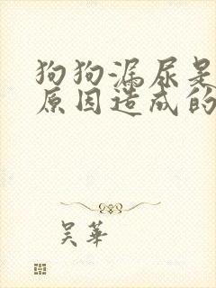 狗狗漏尿是什么原因造成的