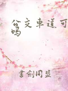 公交车道可以走吗