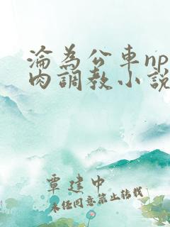 沦为公车np纯肉调教小说推荐
