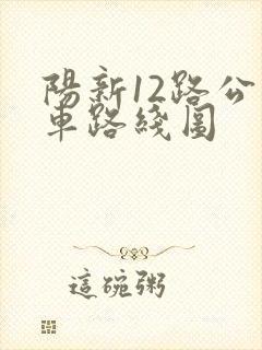 阳新12路公交车路线图