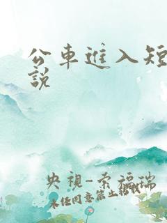 公车进入短裙小说