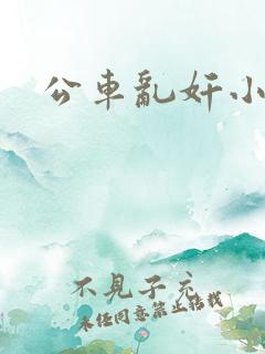 公车乱奸小说