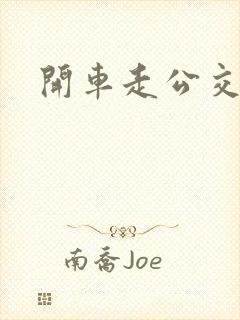 开车走公交车道