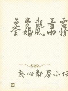 免费观看电视剧金婚风雨情