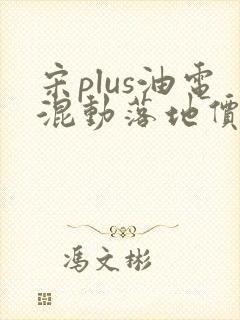 宋plus油电混动落地价明细
