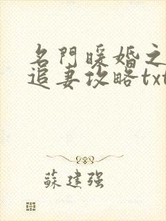 名门暖婚之权爷追妻攻略txt