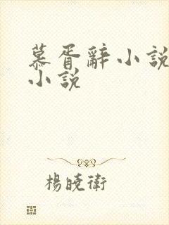 慕胥辞小说原著小说