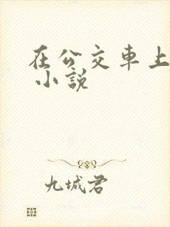 在公交车上被h 小说