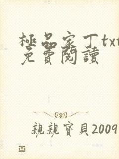 极品家丁txt免费阅读