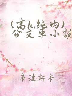 (高h,纯肉)公交车小说