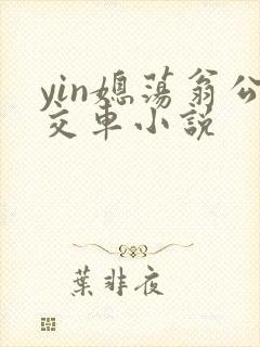 yin媳荡翁公交车小说