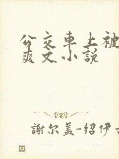 公交车上被强上爽文小说