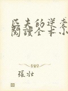 匹夫的逆袭免费阅读全本小说