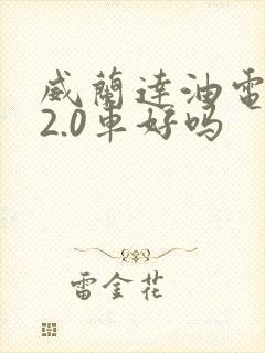 威兰达油电混合2.0车好吗