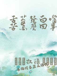 舌苔发白嘴里发苦怎么回事