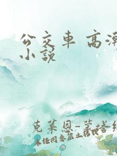 公交车 高潮 小说