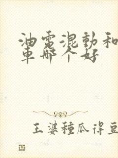 油电混动和纯电车哪个好