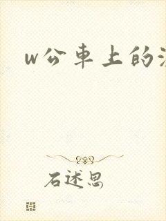 w公车上的激情