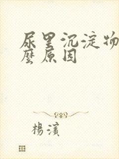 尿里沉淀物多什么原因