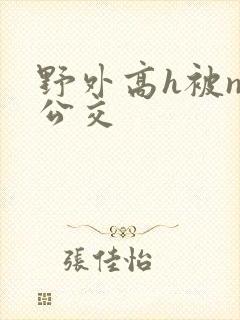 野外高h被np公交