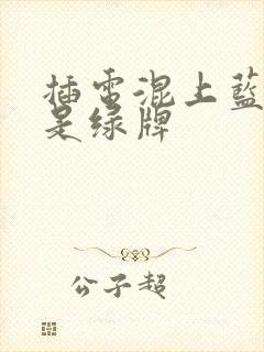 插电混上蓝牌还是绿牌