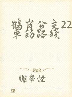鹤岗公交22路车的路线