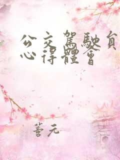 公交驾驶员安全心得体会
