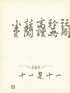 小说高干玩物免费阅读无删减版