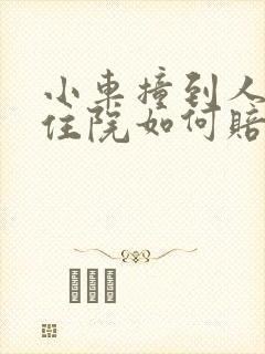小车撞到人受伤住院如何赔偿
