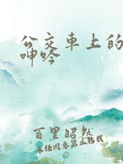公交车上的高潮呻吟