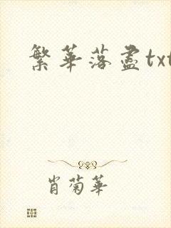 繁华落尽txt