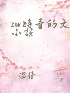 zw时看的文案小说