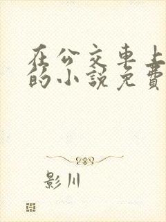 在公交车上高潮的小说免费阅读