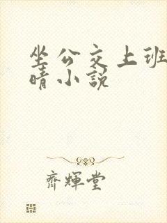 坐公交上班的苏晴小说