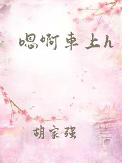 嗯啊车上h