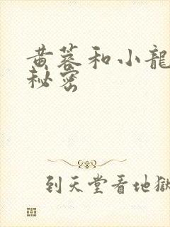 黄蓉和小龙女的秘密