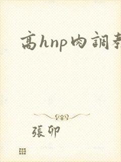 高hnp肉调教