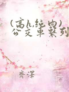 (高h,纯肉)公交车系列