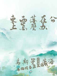 东西落在公交车上怎么办