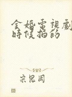 金婚电视剧什么时候拍的