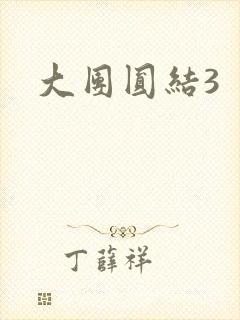大团圆结3