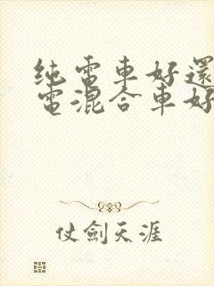 纯电车好还是油电混合车好