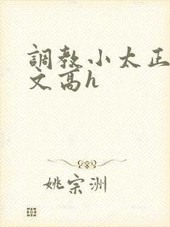 调教小太正肉车文高h